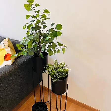 Makro Apartment